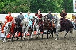 Caballos EuroFeria