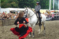 Caballos EuroFeria