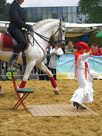 Caballos EuroFeria