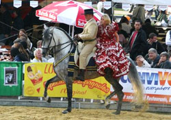 Caballos EuroFeria