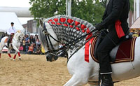 Caballos EuroFeria